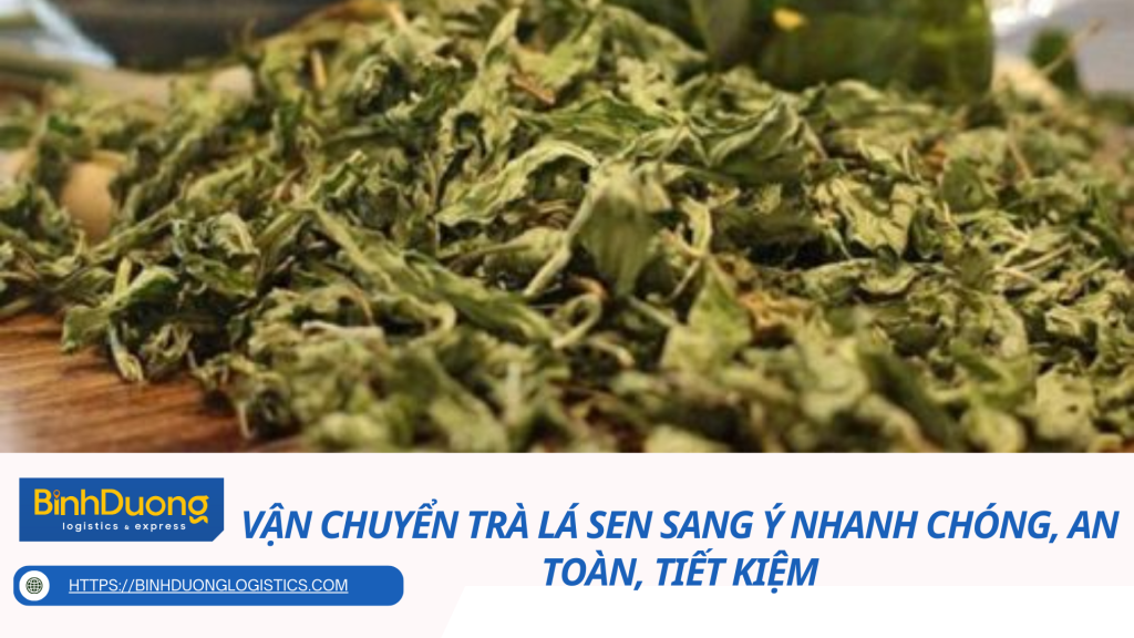 Vận chuyển trà lá sen sang Ý nhanh chóng, an toàn, tiết kiệm