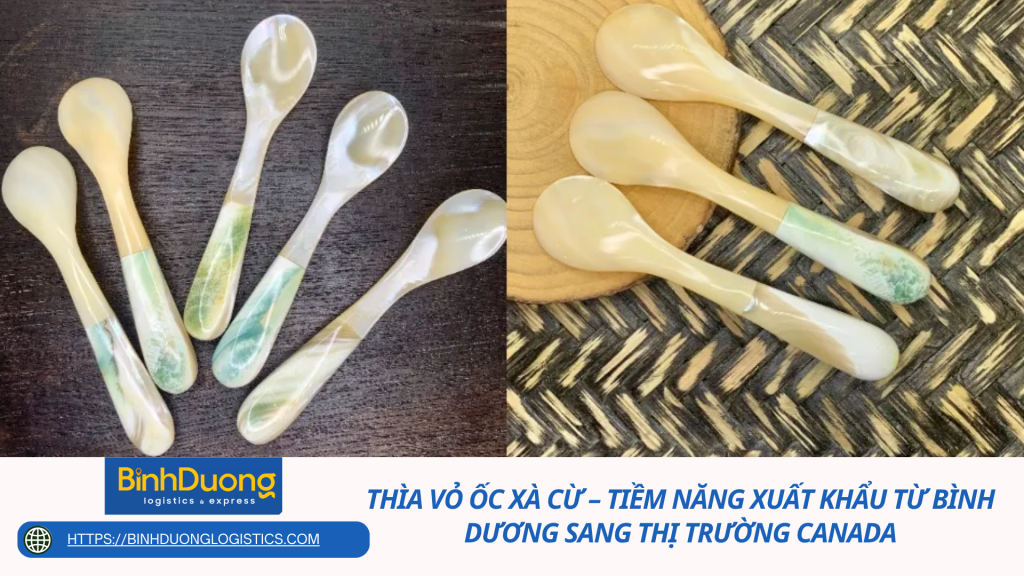 Thìa vỏ ốc xà cừ – Tiềm năng xuất khẩu từ Bình Dương sang thị trường Canada