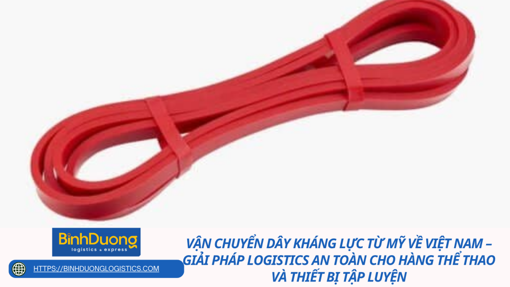 Vận chuyển dây kháng lực từ Mỹ về Việt Nam – Giải pháp logistics an toàn cho hàng thể thao và thiết bị tập luyện