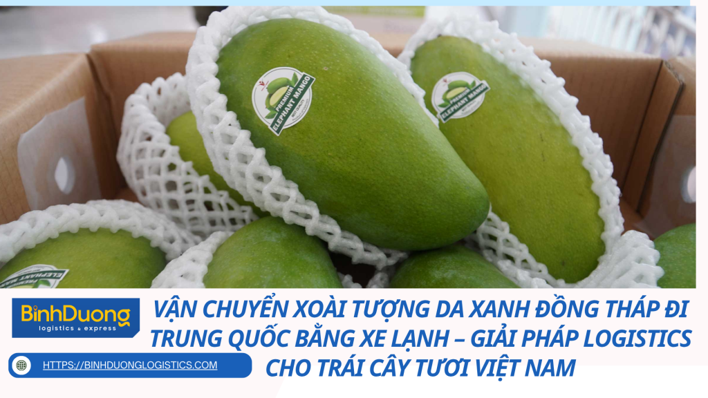 Vận chuyển xoài tượng da xanh Đồng Tháp đi Trung Quốc bằng xe lạnh – Giải pháp logistics cho trái cây tươi Việt Nam