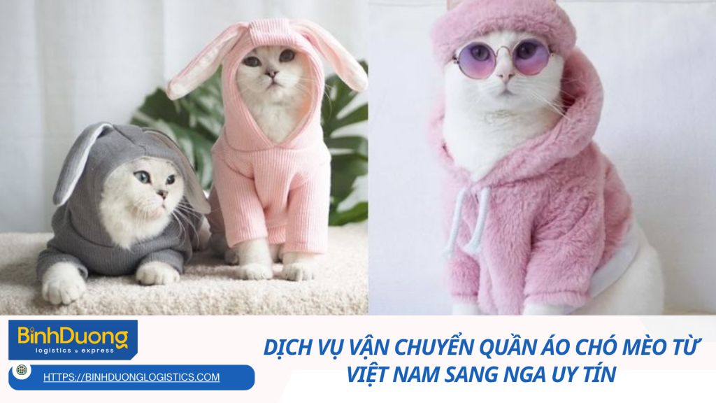 Dịch Vụ Vận Chuyển Quần Áo Chó Mèo Từ Việt Nam Sang Nga Uy Tín