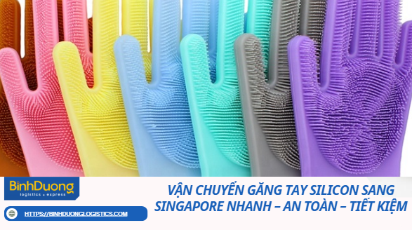 vận chuyển găng tay cao su sang singapore