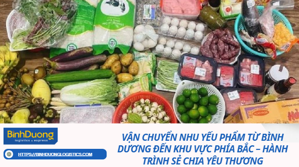 Vận chuyển nhu yếu phẩm từ Bình Dương đến khu vực phía Bắc – Hành trình sẻ chia yêu thương