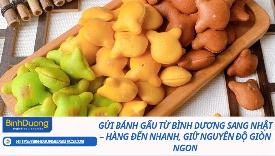 Gửi Bánh Gấu Từ Bình Dương Sang Nhật – Hàng Đến Nhanh, Giữ Nguyên Độ Giòn Ngon