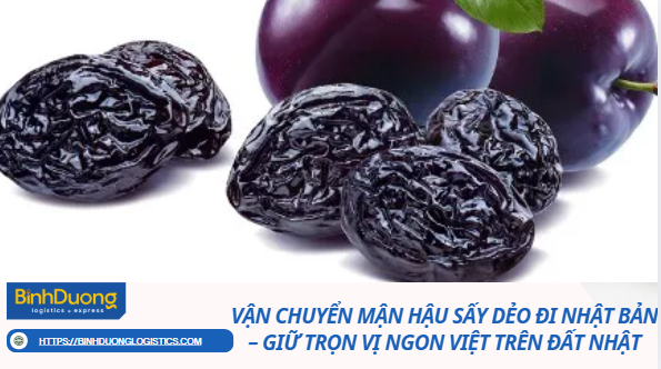 Vận Chuyển Mận Hậu Sấy Dẻo Đi Nhật Bản – Giữ Trọn Vị Ngon Việt Trên Đất Nhật