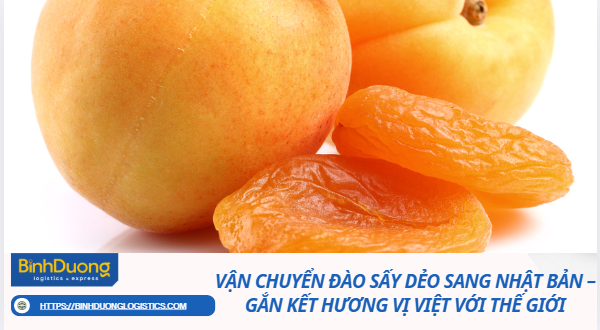 Vận Chuyển Đào Sấy Dẻo Sang Nhật Bản – Gắn Kết Hương Vị Việt Với Thế Giới