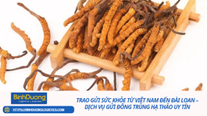 Trao gửi sức khỏe từ Việt Nam đến Đài Loan – Dịch vụ gửi đông trùng hạ thảo uy tín