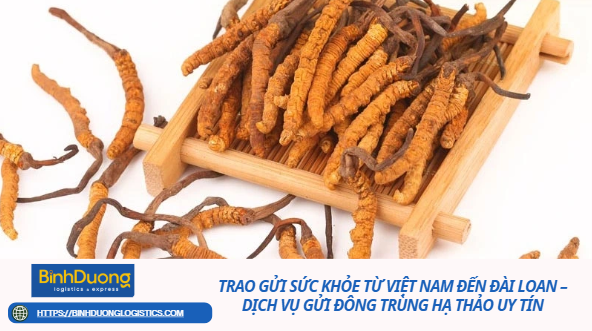 Trao gửi sức khỏe từ Việt Nam đến Đài Loan – Dịch vụ gửi đông trùng hạ thảo uy tín