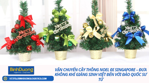 Vận Chuyển Cây Thông Noel Đi Singapore – Đưa Không Khí Giáng Sinh Việt Đến Với Đảo Quốc Sư Tử
