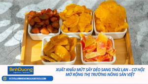 Xuất khẩu mứt sấy dẻo sang Thái Lan – Cơ hội mở rộng thị trường nông sản Việt
