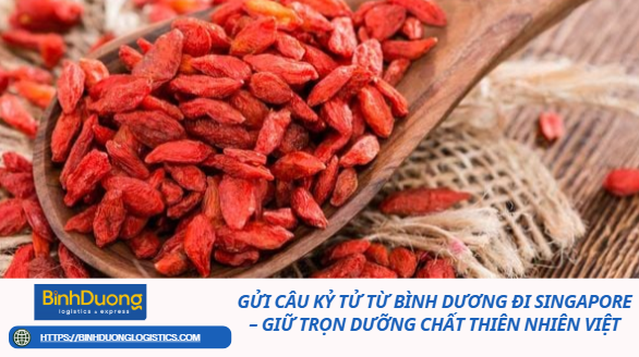 Gửi Câu Kỷ Tử Từ Bình Dương Đi Singapore – Giữ Trọn Dưỡng Chất Thiên Nhiên Việt