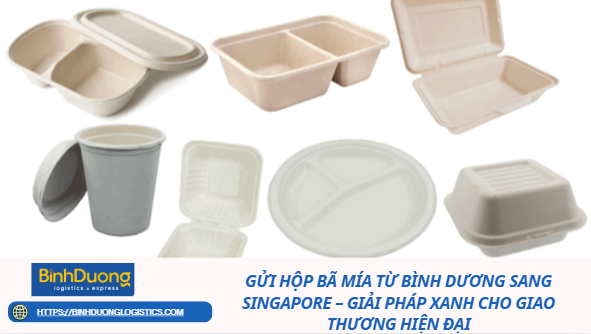 Gửi Hộp Bã Mía Từ Bình Dương Sang Singapore – Giải Pháp Xanh Cho Giao Thương Hiện Đại