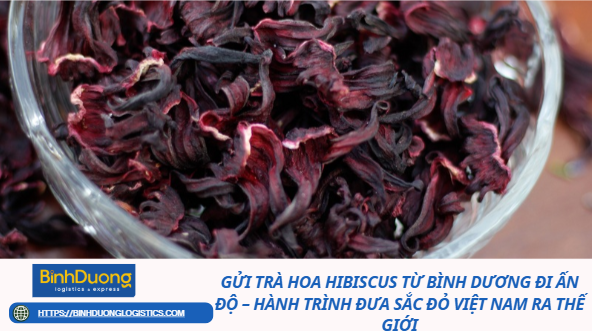 Gửi Trà Hoa Hibiscus Từ Bình Dương Đi Ấn Độ – Hành Trình Đưa Sắc Đỏ Việt Nam Ra Thế Giới