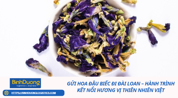 Gửi Hoa Đậu Biếc Đi Đài Loan – Hành Trình Kết Nối Hương Vị Thiên Nhiên Việt