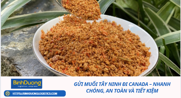 Gửi Muối Tây Ninh Đi Canada – Nhanh Chóng, An Toàn Và Tiết Kiệm