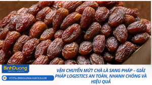 Vận chuyển mứt chà là sang Pháp – Giải pháp logistics an toàn, nhanh chóng và hiệu quả