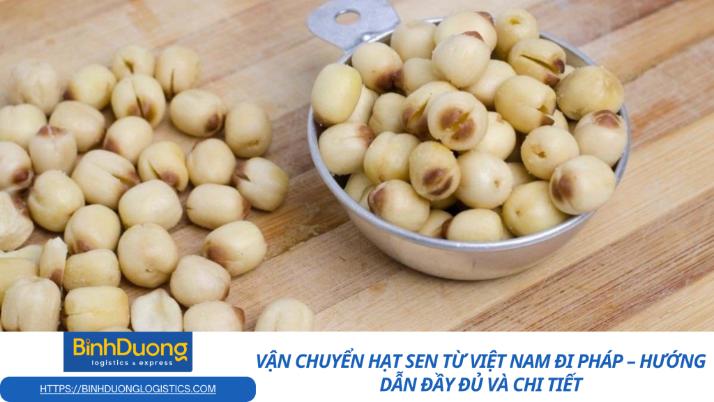 Vận chuyển hạt sen từ Việt Nam đi Pháp – Hướng dẫn đầy đủ và chi tiết