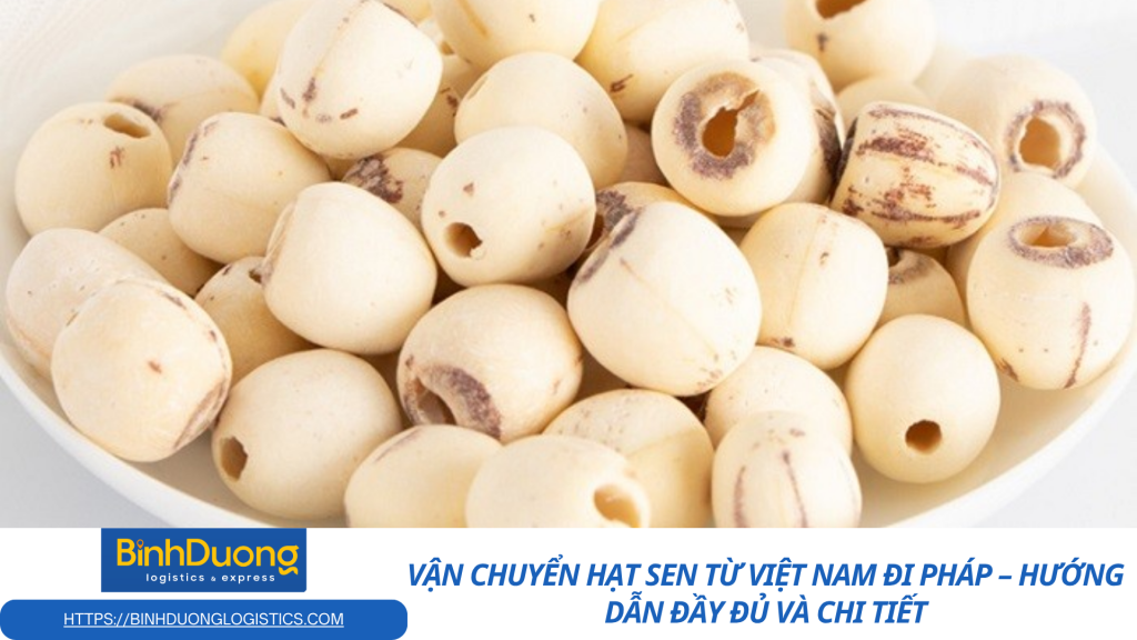 Vận chuyển hạt sen từ Việt Nam đi Pháp – Hướng dẫn đầy đủ và chi tiết