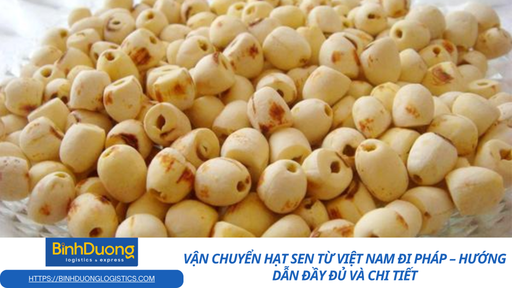 Vận chuyển hạt sen từ Việt Nam đi Pháp – Hướng dẫn đầy đủ và chi tiết
