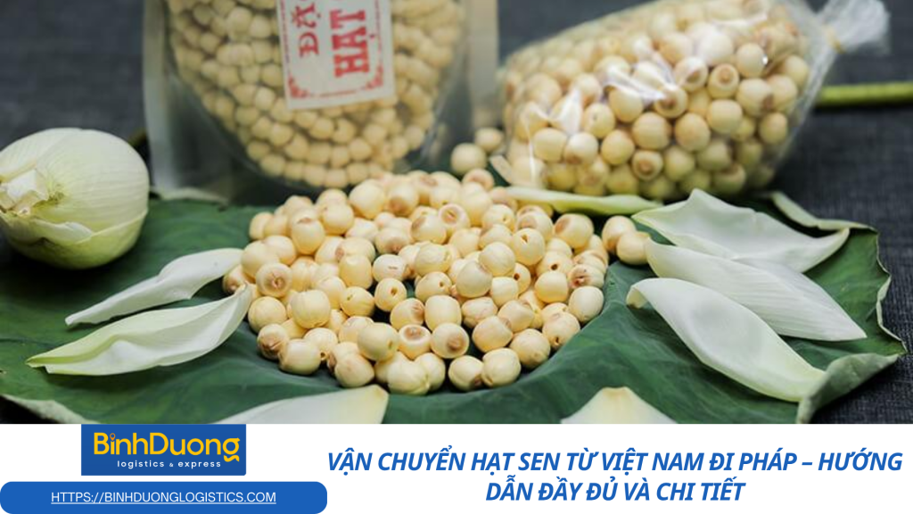 Vận chuyển hạt sen từ Việt Nam đi Pháp – Hướng dẫn đầy đủ và chi tiết