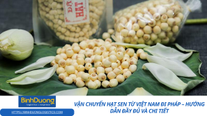 Vận chuyển hạt sen từ Việt Nam đi Pháp – Hướng dẫn đầy đủ và chi tiết