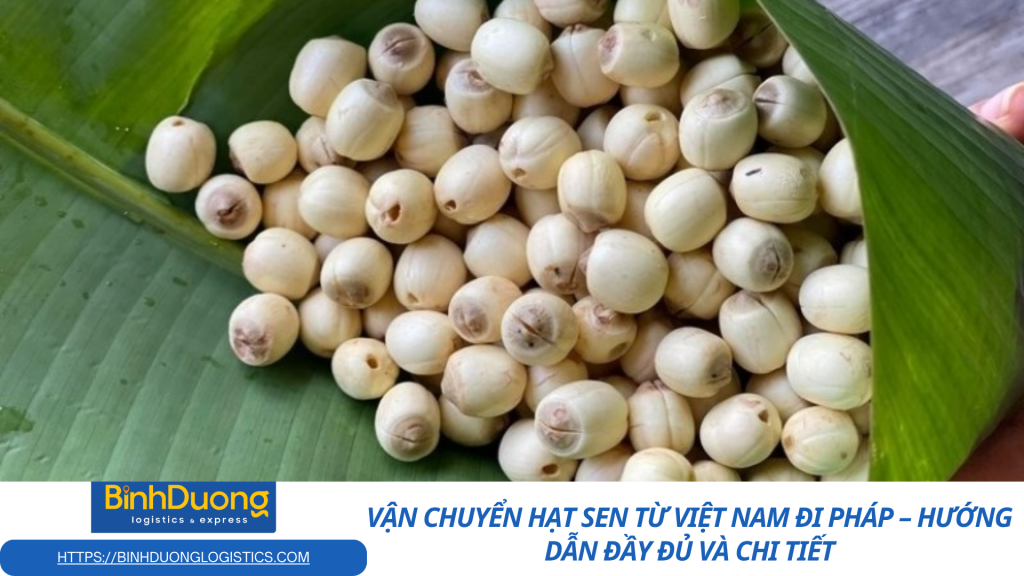 Vận chuyển hạt sen từ Việt Nam đi Pháp – Hướng dẫn đầy đủ và chi tiết