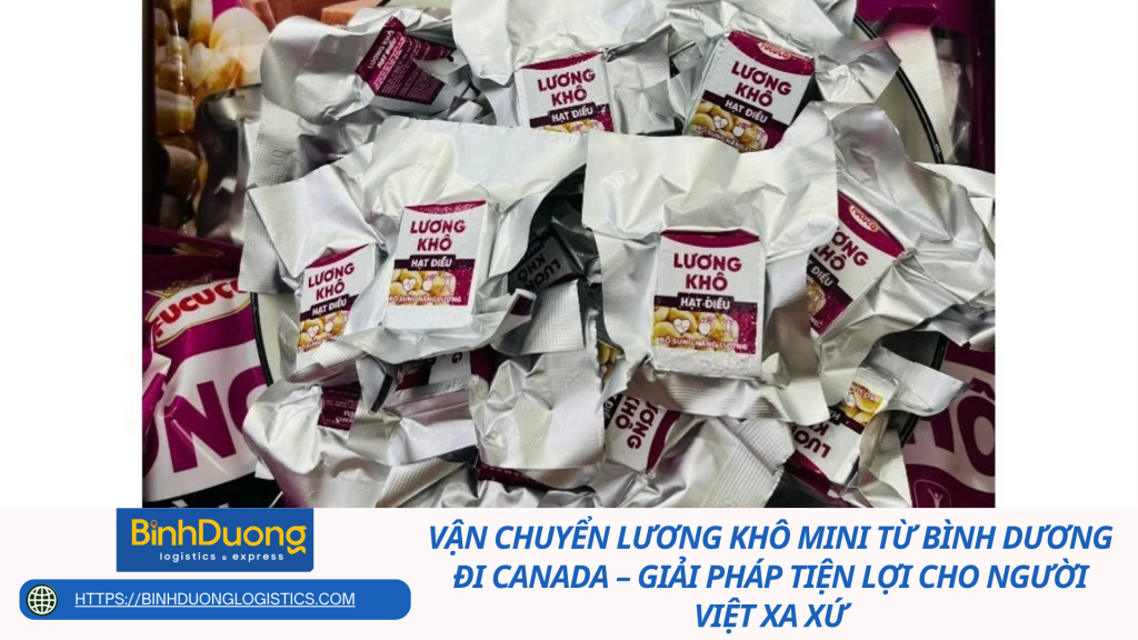 Vận Chuyển Lương Khô Mini Từ Bình Dương Đi Canada – Giải Pháp Tiện Lợi Cho Người Việt Xa Xứ