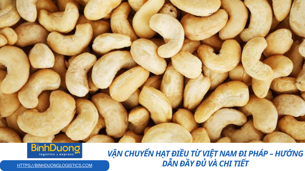 Những lưu ý quan trọng khi vận chuyển hạt điều từ Việt Nam sang Pháp
