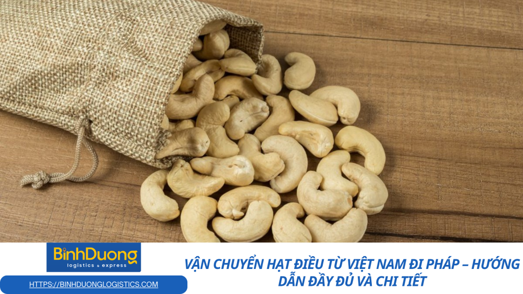 Những lưu ý quan trọng khi vận chuyển hạt điều từ Việt Nam sang Pháp