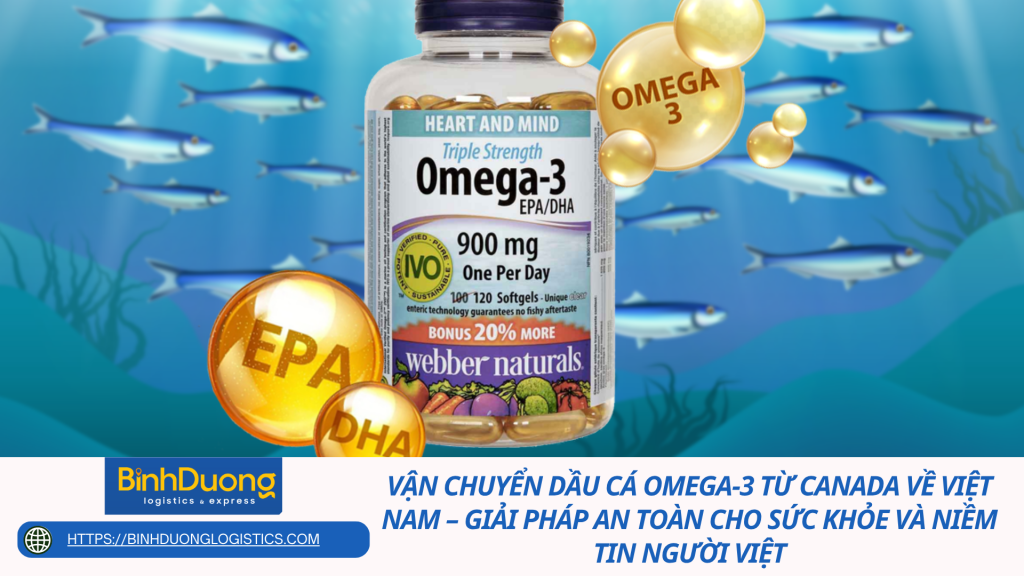 Vận Chuyển Dầu Cá Omega-3 Từ Canada Về Việt Nam – Giải Pháp An Toàn Cho Sức Khỏe Và Niềm Tin Người Việt