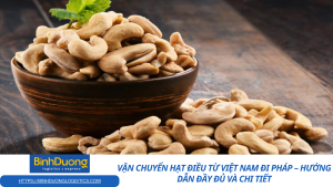 Những lưu ý quan trọng khi vận chuyển hạt điều từ Việt Nam sang Pháp