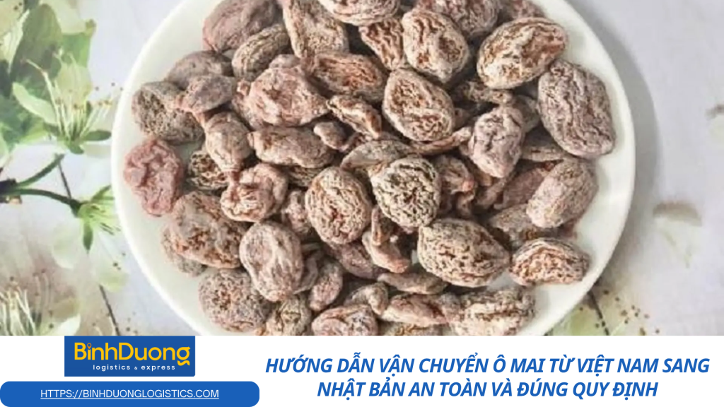 Hướng dẫn vận chuyển ô mai từ Việt Nam sang Nhật Bản an toàn và đúng quy định