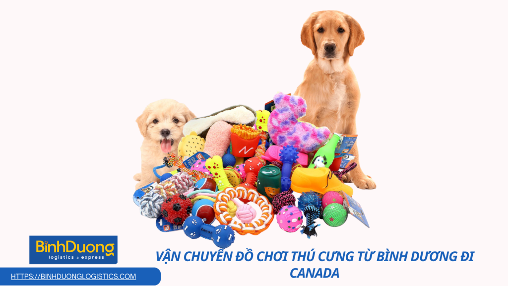 Dịch Vụ Vận Chuyển Đồ Chơi Thú Cưng Đi Canada Nhanh Chóng – Trao Yêu Thương Đến Người Bạn Nhỏ Ở Phương Xa