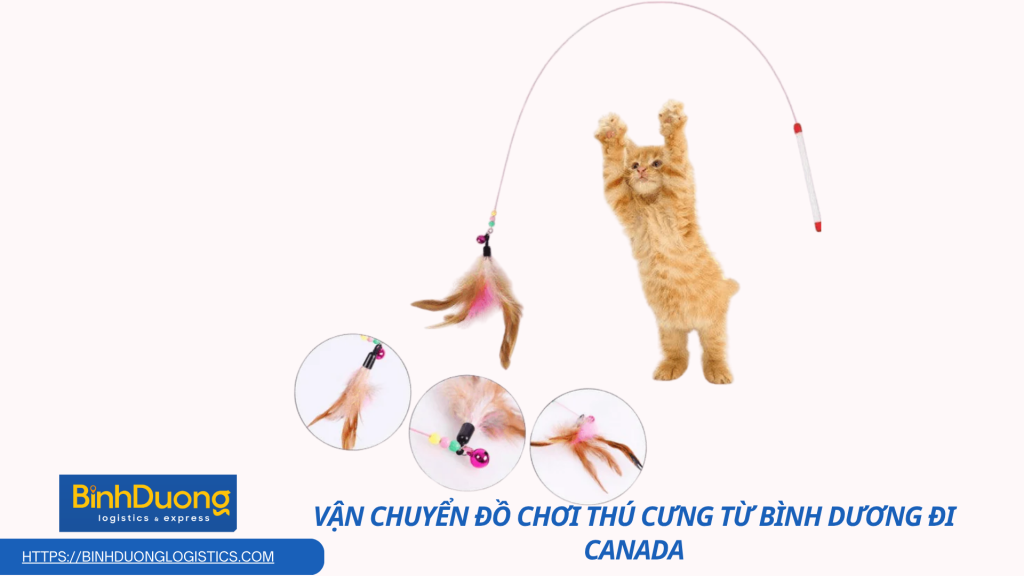 Dịch Vụ Vận Chuyển Đồ Chơi Thú Cưng Đi Canada Nhanh Chóng – Trao Yêu Thương Đến Người Bạn Nhỏ Ở Phương Xa