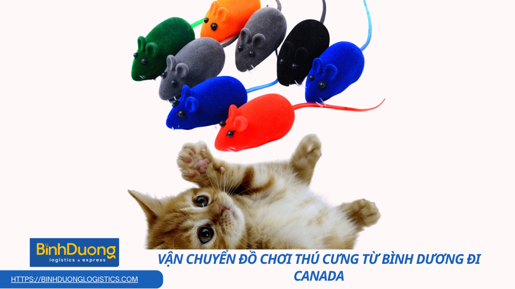 Dịch Vụ Vận Chuyển Đồ Chơi Thú Cưng Đi Canada Nhanh Chóng – Trao Yêu Thương Đến Người Bạn Nhỏ Ở Phương Xa