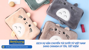 Dịch vụ vận chuyển túi sưởi từ Việt Nam sang Canada uy tín, tiết kiệm