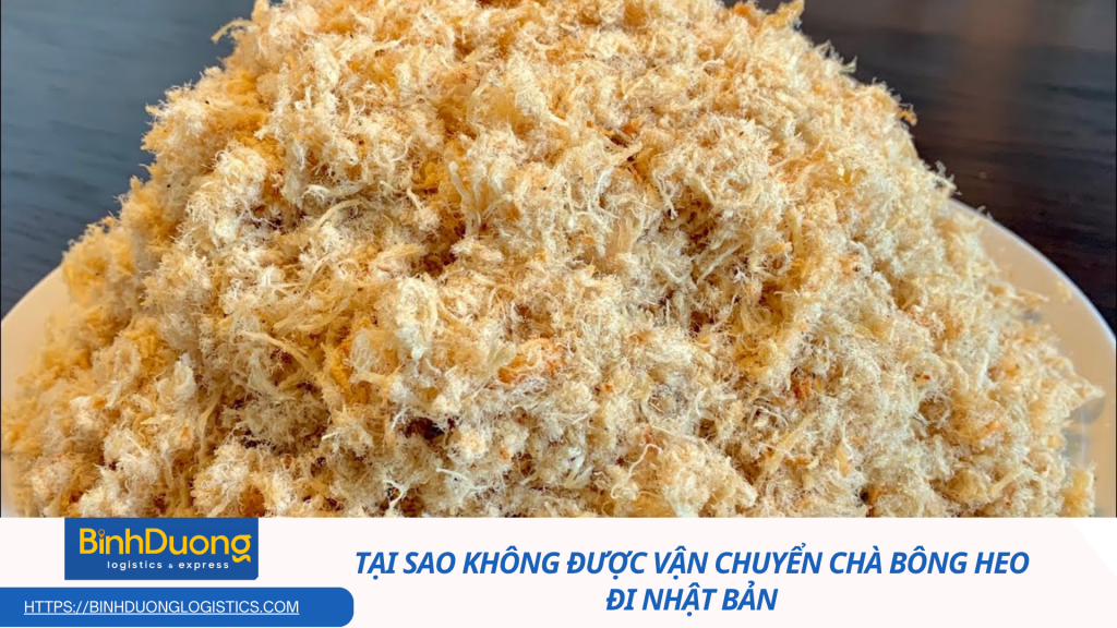 Tại sao không được vận chuyển chà bông heo qua Nhật – Hiểu đúng để tránh vi phạm