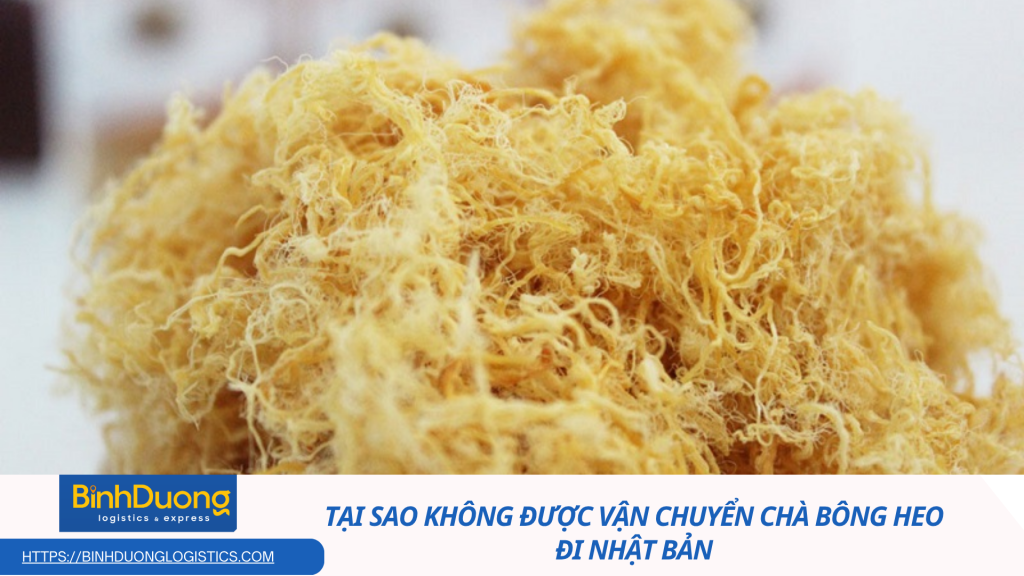 Tại sao không được vận chuyển chà bông heo qua Nhật – Hiểu đúng để tránh vi phạm