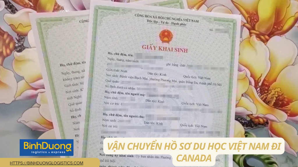 Vận chuyển giấy khai sinh từ Việt Nam đi Canada – Giải pháp an toàn cho giấy tờ quan trọng