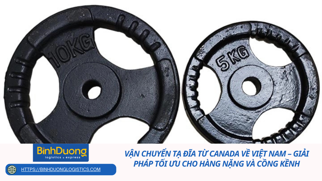 Vận chuyển tạ đĩa từ Canada về Việt Nam – Giải pháp tối ưu cho hàng nặng và cồng kềnh