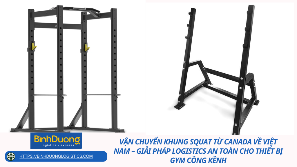 Vận chuyển khung squat từ Canada về Việt Nam – Giải pháp logistics an toàn cho thiết bị gym cồng kềnh