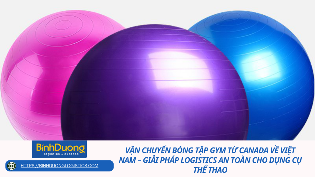 Vận chuyển bóng tập gym từ Canada về Việt Nam – Giải pháp logistics an toàn cho dụng cụ thể thao
