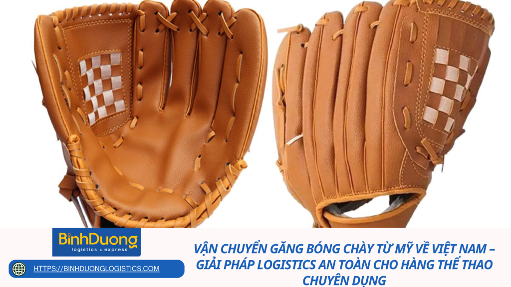 Vận chuyển găng bóng chày từ Mỹ về Việt Nam – Giải pháp logistics an toàn cho hàng thể thao chuyên dụng