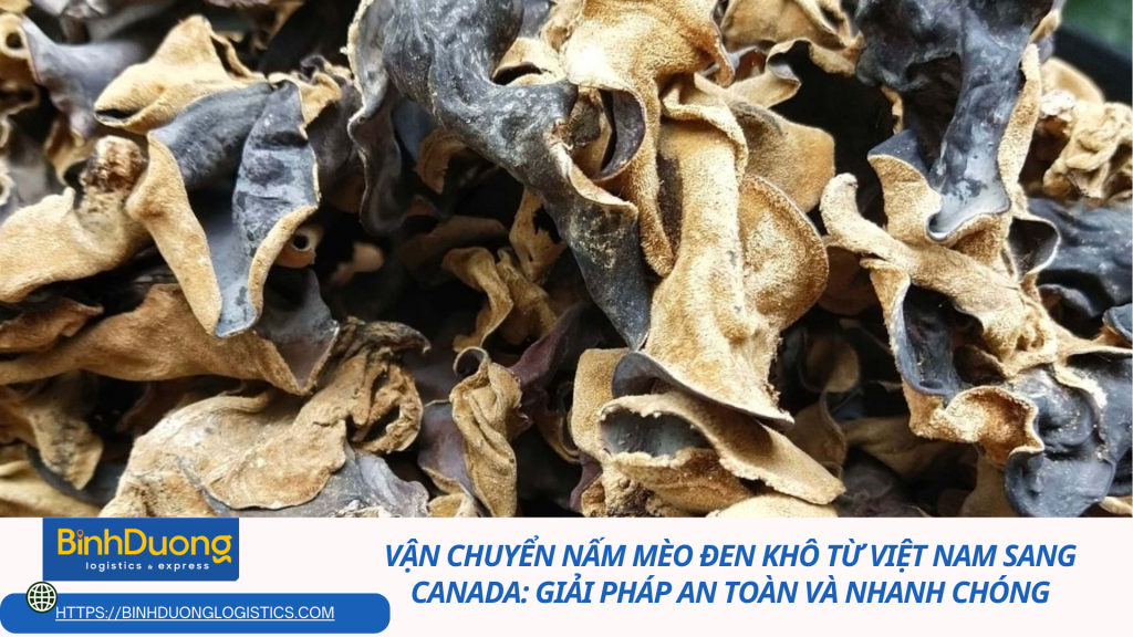 Vận Chuyển Nấm Mèo Đen Khô Từ Việt Nam Sang Canada: Giải Pháp An Toàn và Nhanh Chóng
