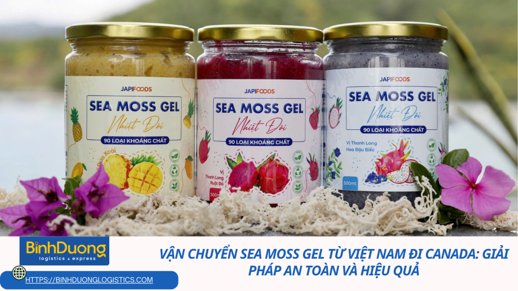 Vận chuyển Sea Moss Gel từ Việt Nam đi Canada: Giải pháp an toàn và hiệu quả