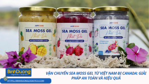 Vận chuyển Sea Moss Gel từ Việt Nam đi Canada: Giải pháp an toàn và hiệu quả