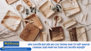 Vận Chuyển Bát Đĩa Mo Cau Trong Nhà Từ Việt Nam Đi Canada: Giải Pháp An Toàn và Chuyên Nghiệp