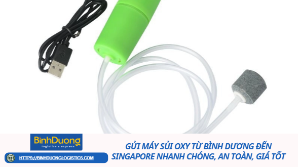 Gửi Máy Sủi Oxy Từ Bình Dương Đến Singapore Nhanh Chóng, An Toàn, Giá Tốt