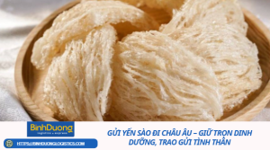 Gửi Yến Sào Đi Châu Âu – Giữ Trọn Dinh Dưỡng, Trao Gửi Tình Thân