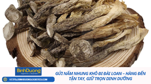 Gửi Nấm Nhung Khô Đi Đài Loan – Hàng Đến Tận Tay, Giữ Trọn Dinh Dưỡng